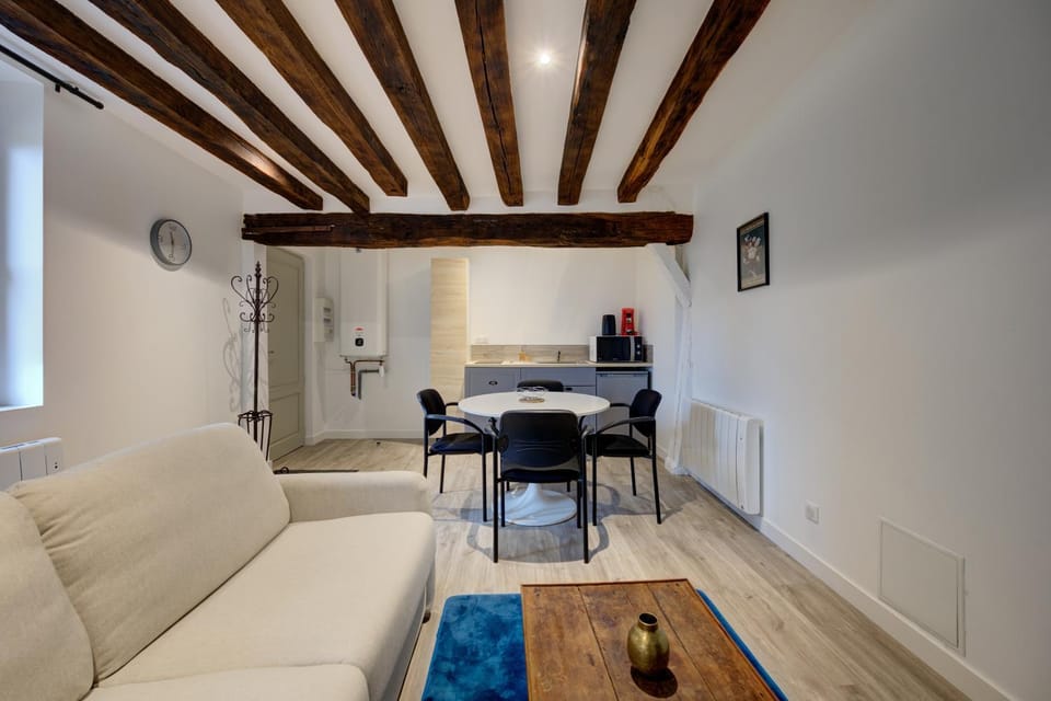 Esprit Amboisien Apartment in Amboise