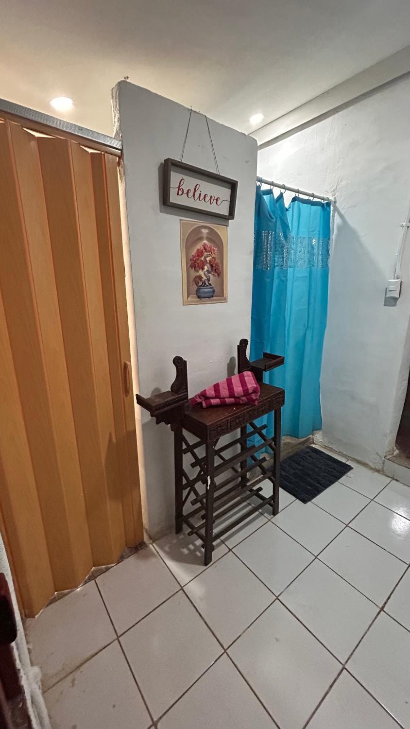 Shower, Toilet, towels