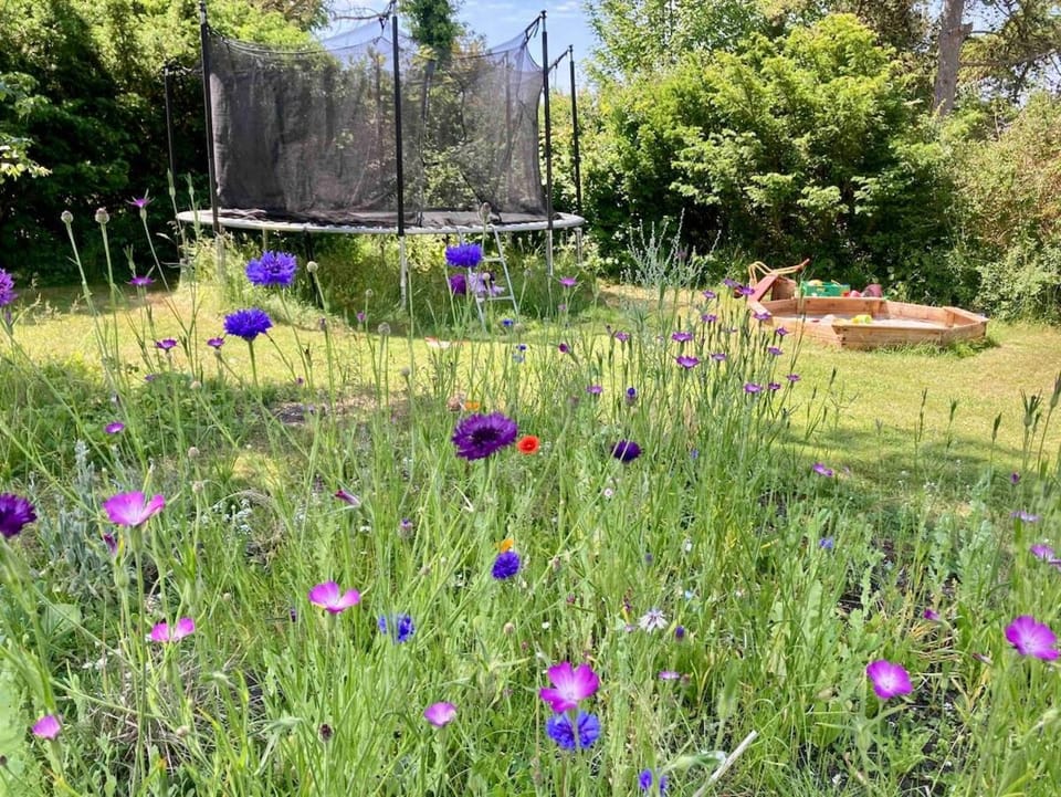 Children play ground