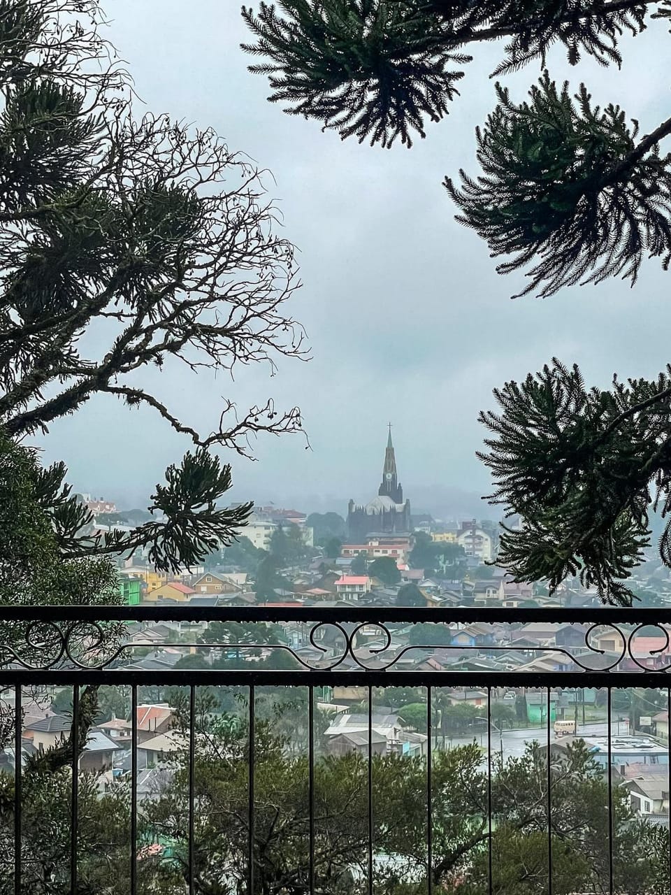 View (from property/room)