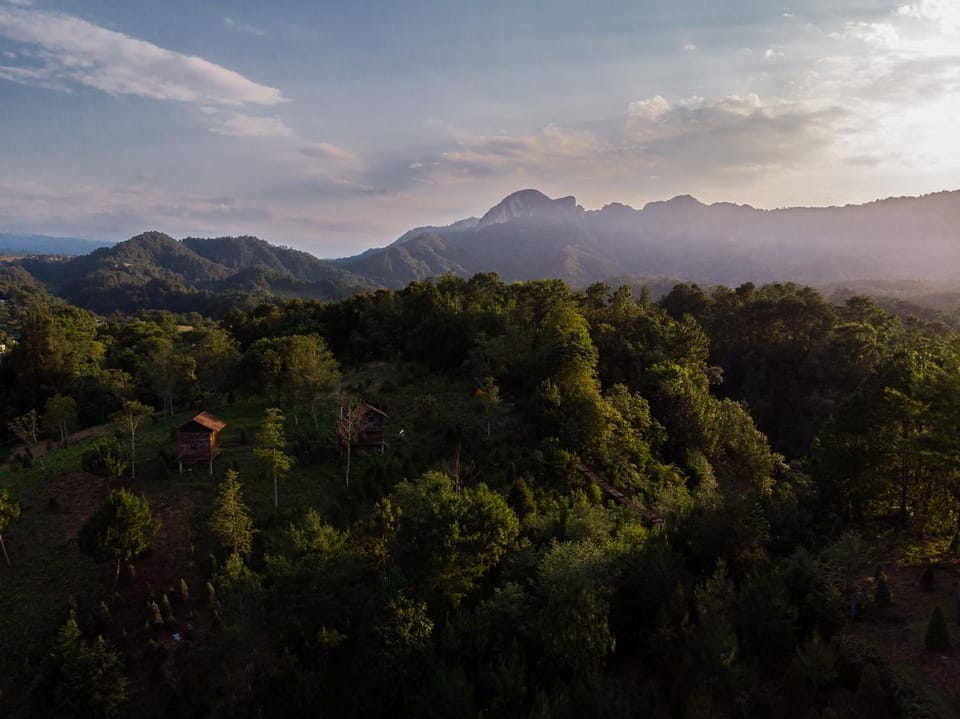Natural landscape