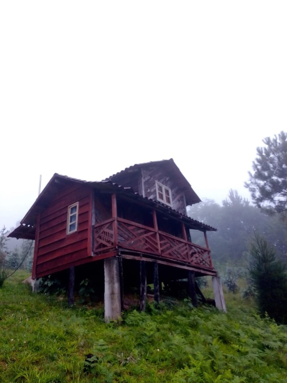 Natural landscape