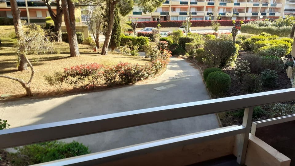 Garden, Garden, Garden view