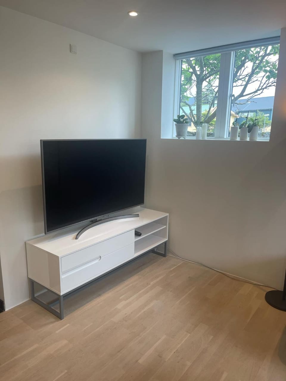 Communal lounge/ TV room, TV and multimedia, Evening entertainment
