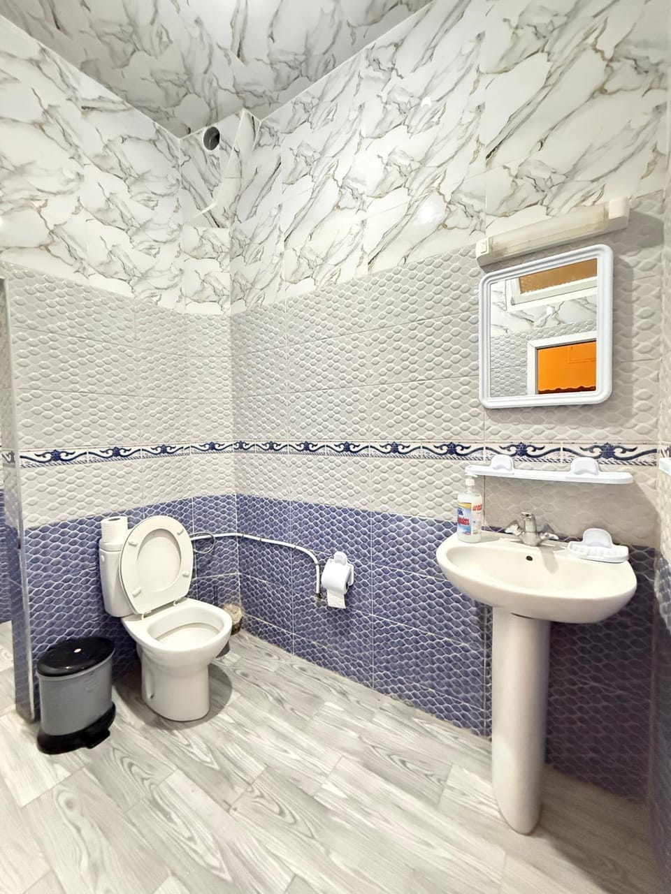 Toilet, Bathroom
