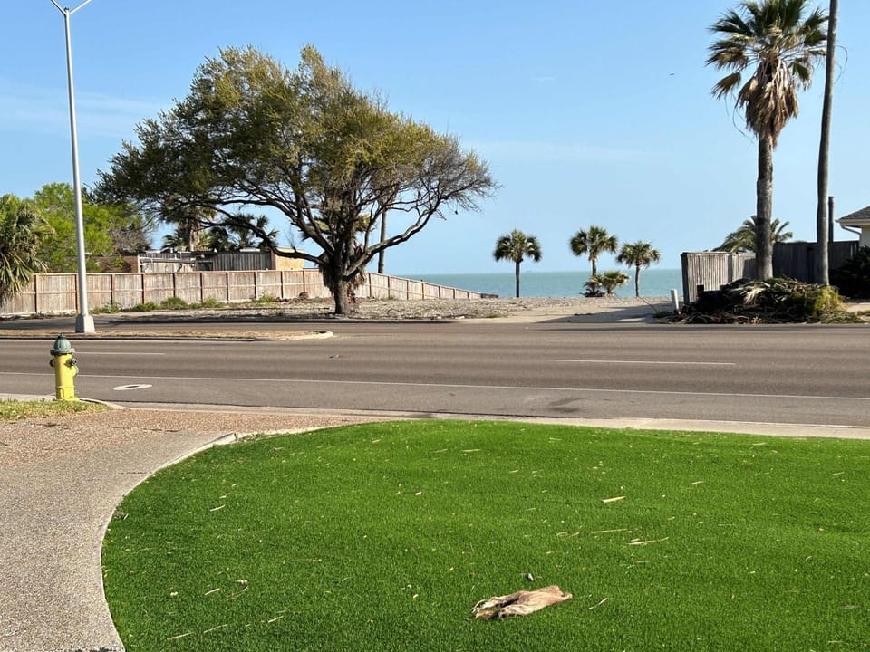 Corpus Christi Pearl on Ocean Dr Combined Estate House in Nueces County
