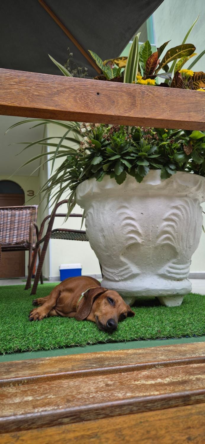 La casona Bed and Breakfast in Florianopolis