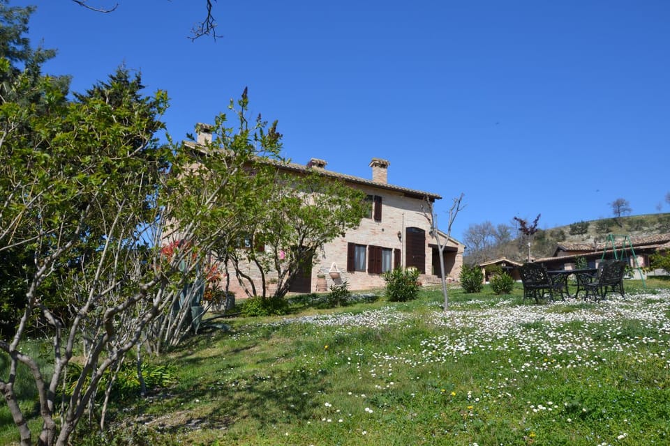 Property building, Garden