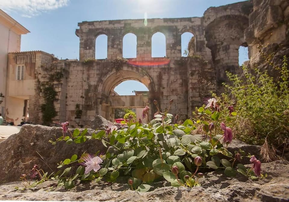 Apartment Dioklecian Wall Bed and Breakfast in Split