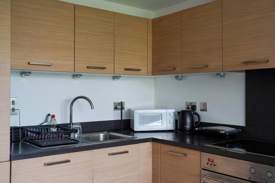 Modern Chelsea Bridge Apartment - Battersea Park View Apartment in London