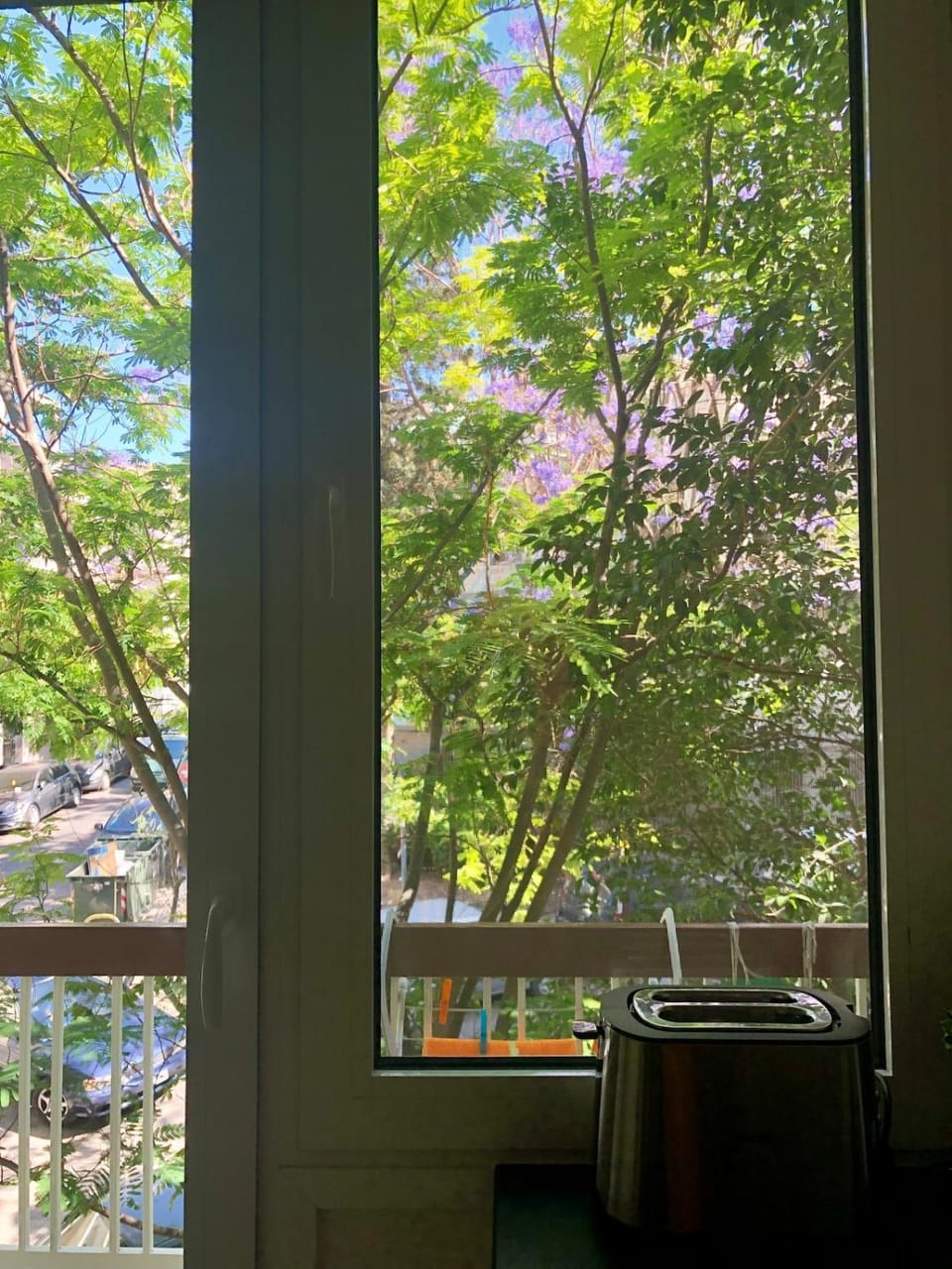 Garden view