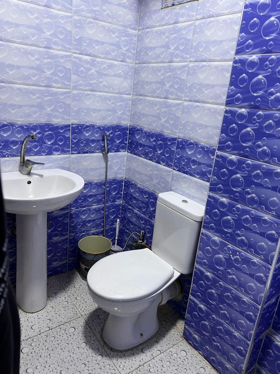 Toilet, Bathroom, bidet