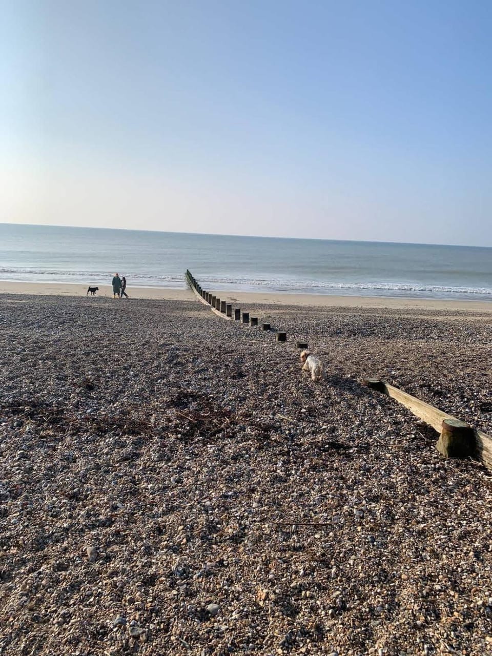 Seaside Retreat Ideal 4 Remote workers Apartment in Arun District