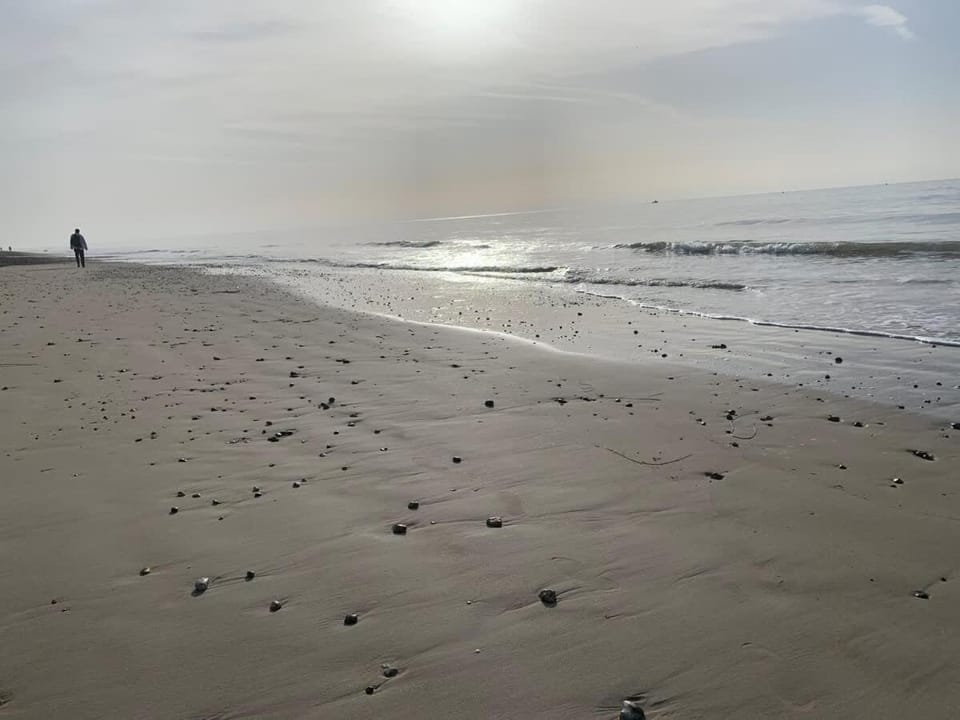 Seaside Retreat Ideal 4 Remote workers Apartment in Arun District