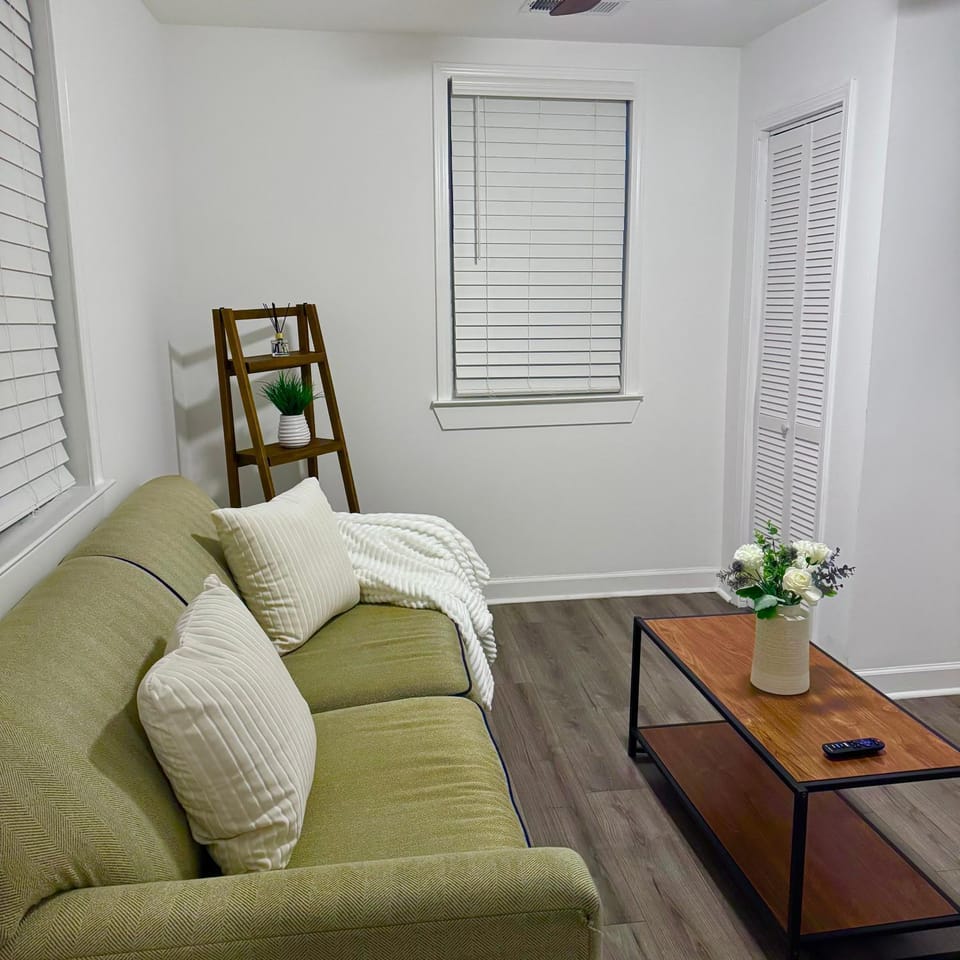 New Apartment Walk to Superdome & Near Canal St Apartment in Warehouse District