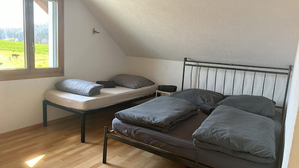 Gassmeshus Apartment in Canton of Lucerne