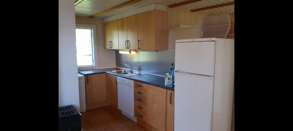 Holiday house by Lake Mjosa, 4 beds House in Viken, Norway