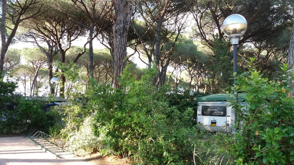 Day, Natural landscape, Garden, Garden view