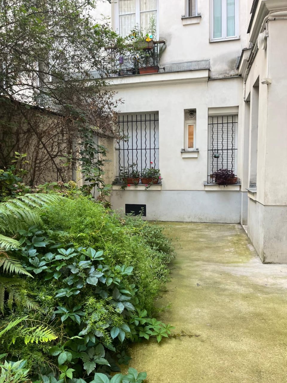Property building, Garden view