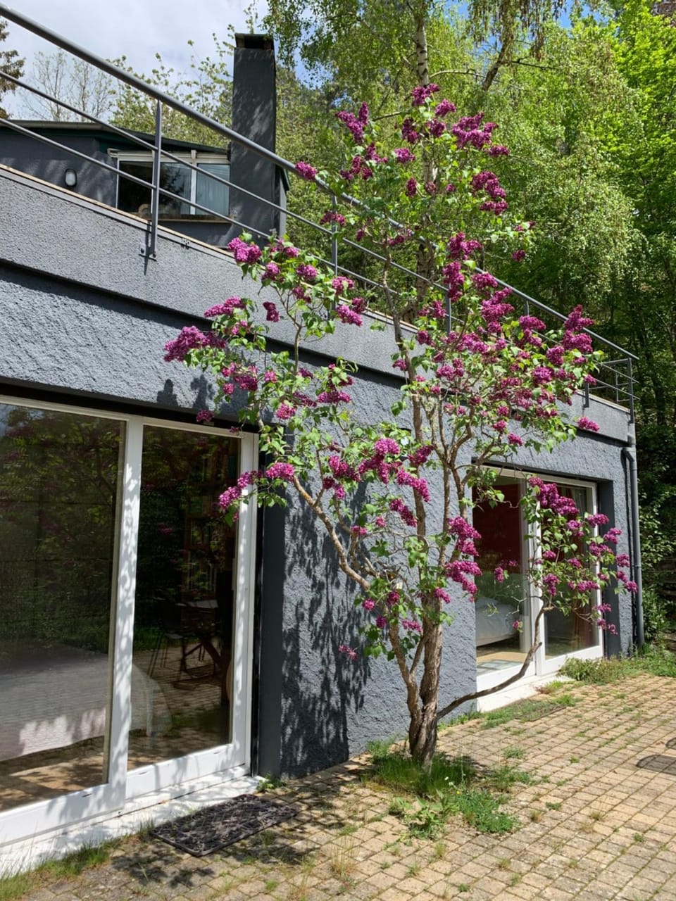 Balcony/Terrace, Other