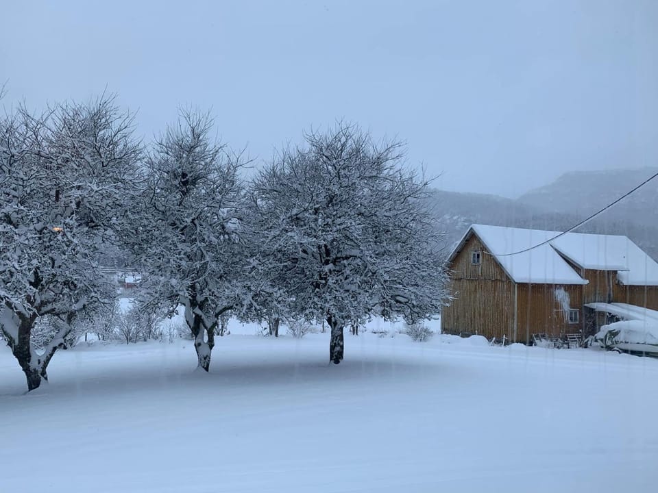Natural landscape, Winter