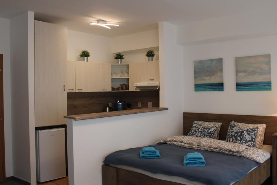 Bed, Kitchen or kitchenette, Living room, Photo of the whole room, Bedroom