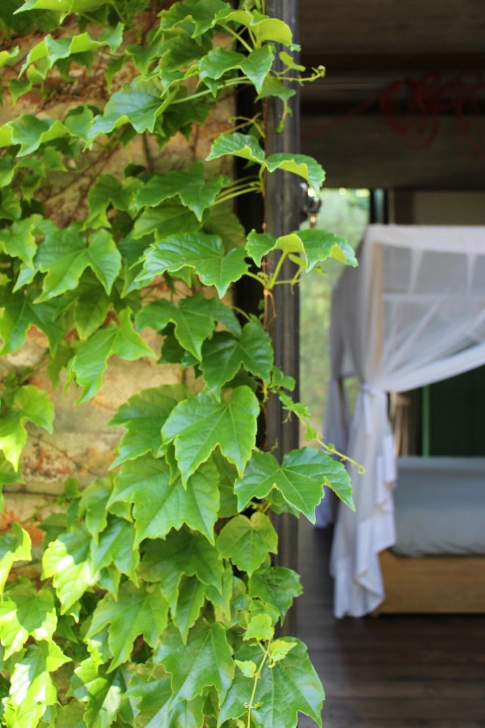 Bed, Garden, Bedroom