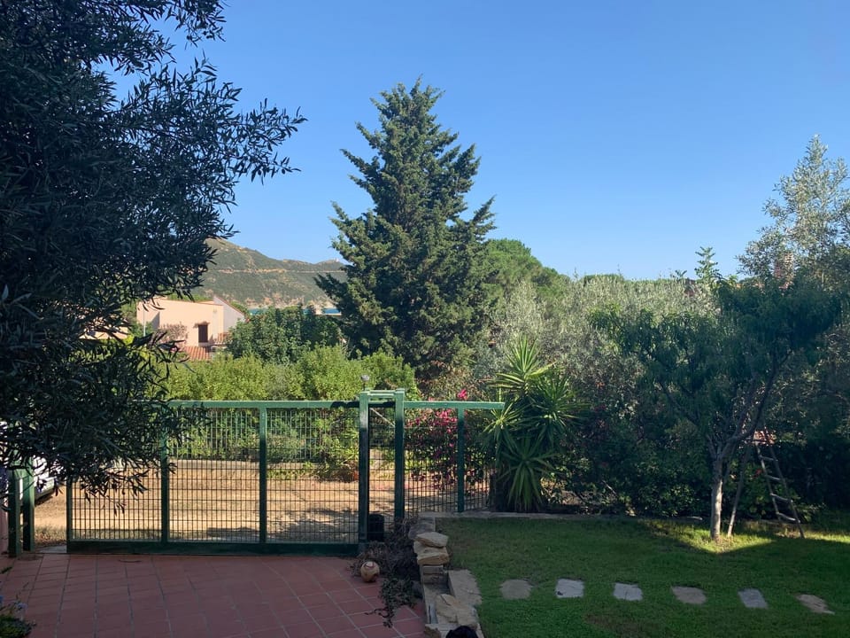 Garden view