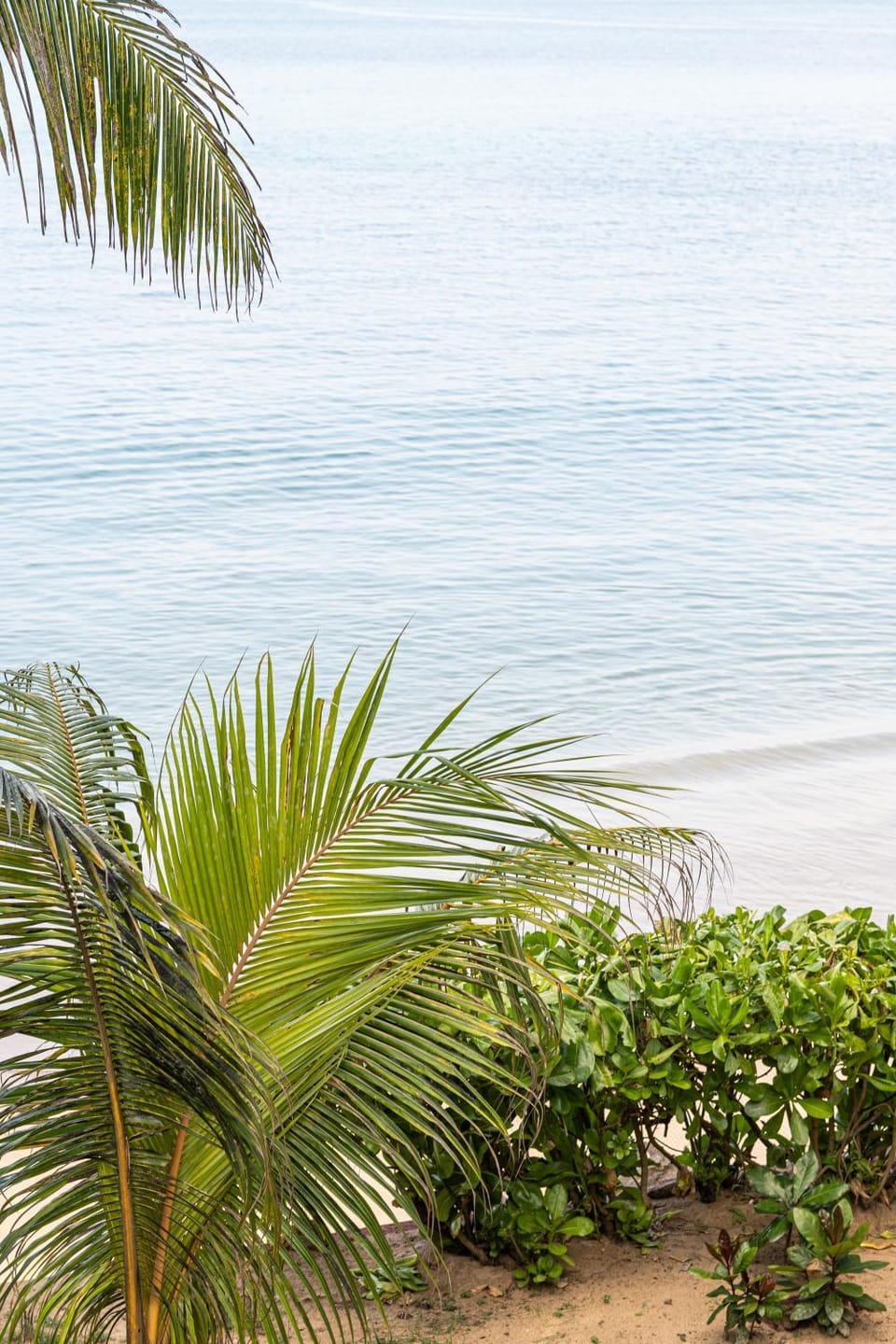 Sansun Guesthouse Inn in Mirissa