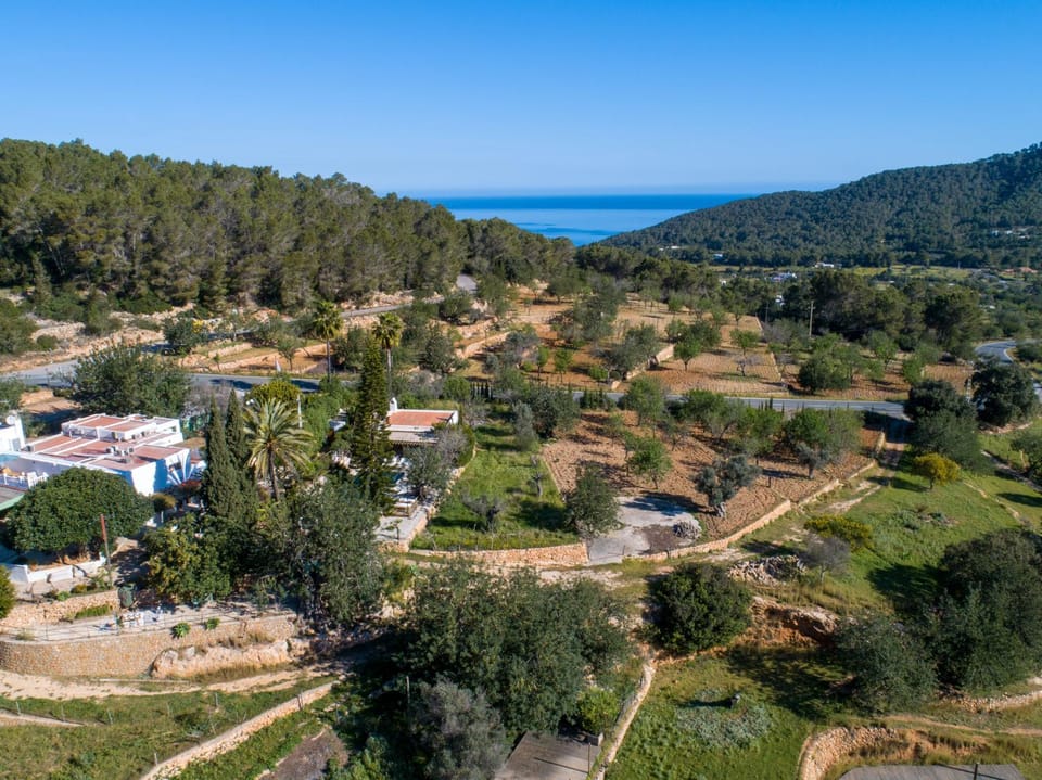 Neighbourhood, Natural landscape, Bird's eye view, Sea view