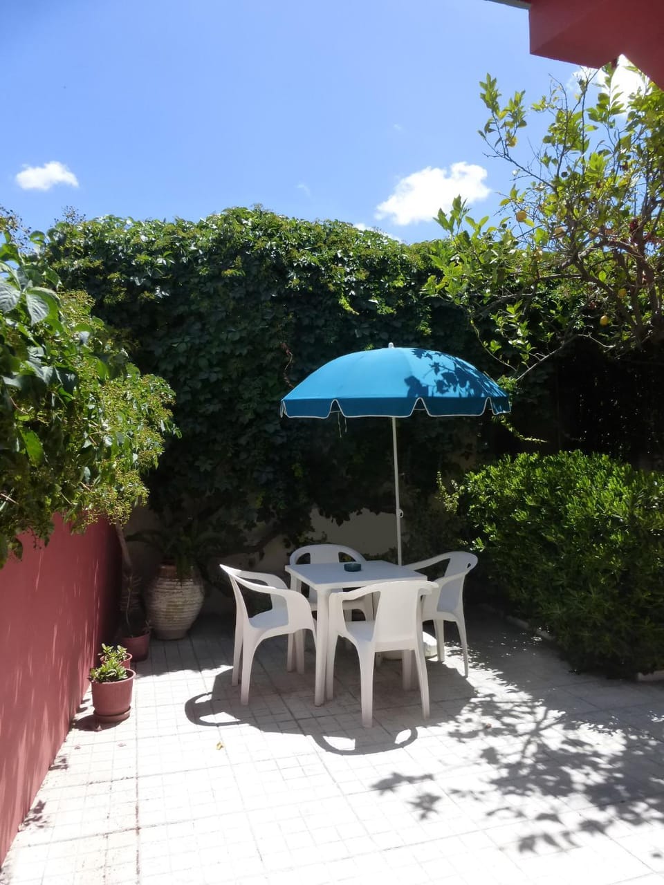 Garden view