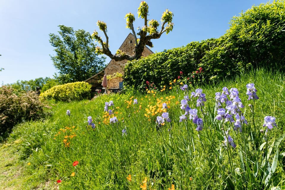 Gite Du Bois Du Pech House in Occitanie