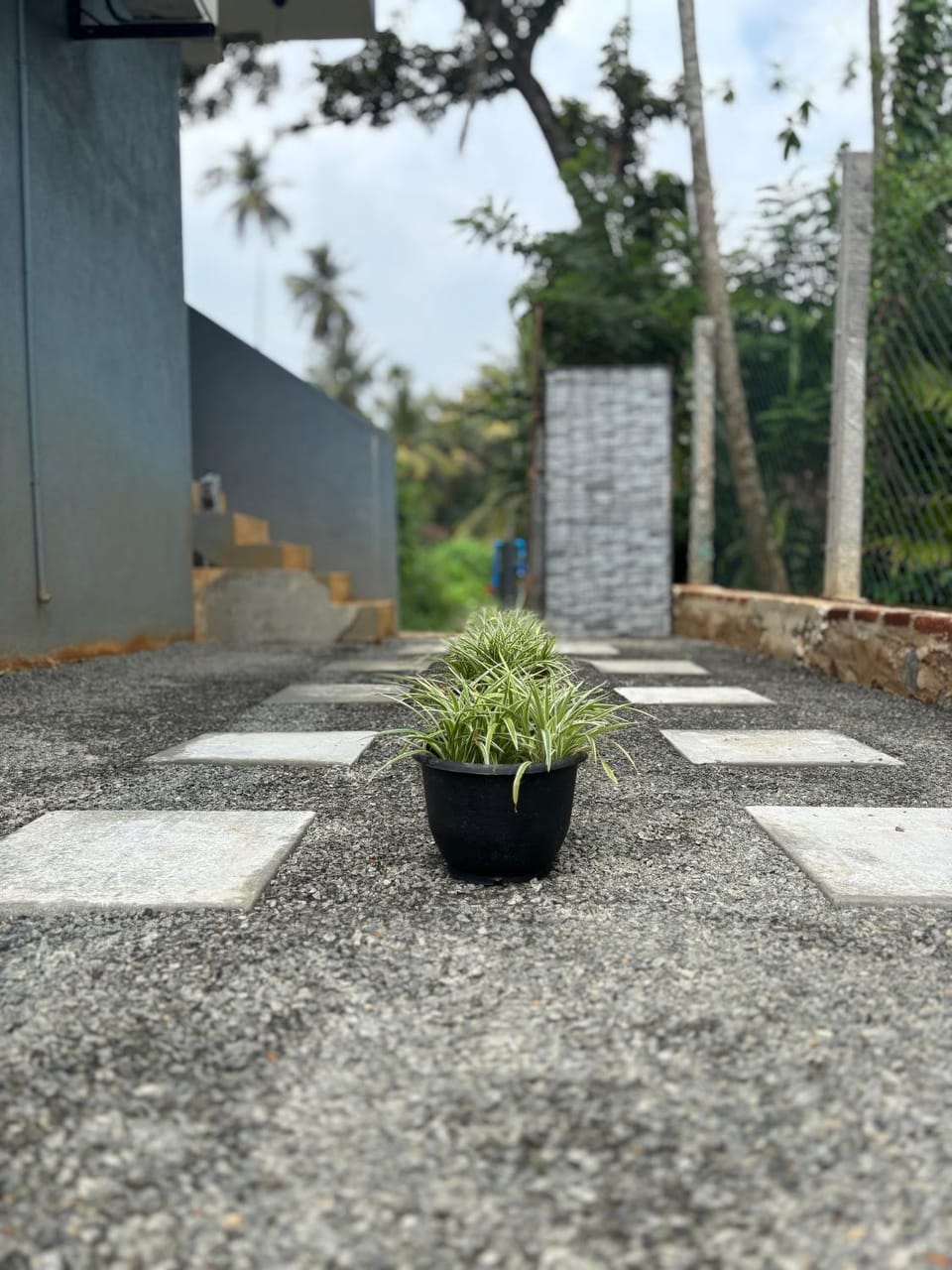 Garden, Garden
