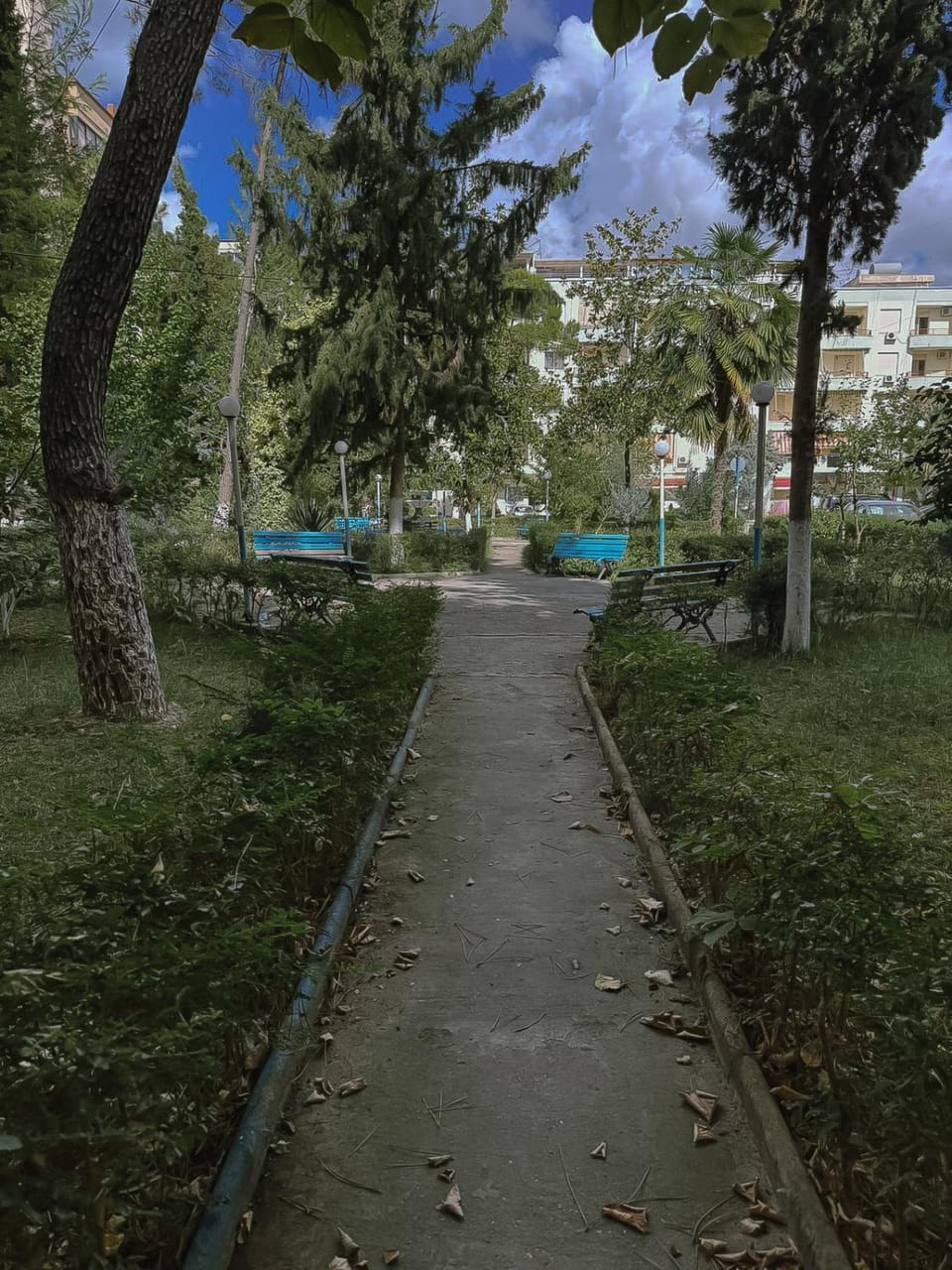 Garden view
