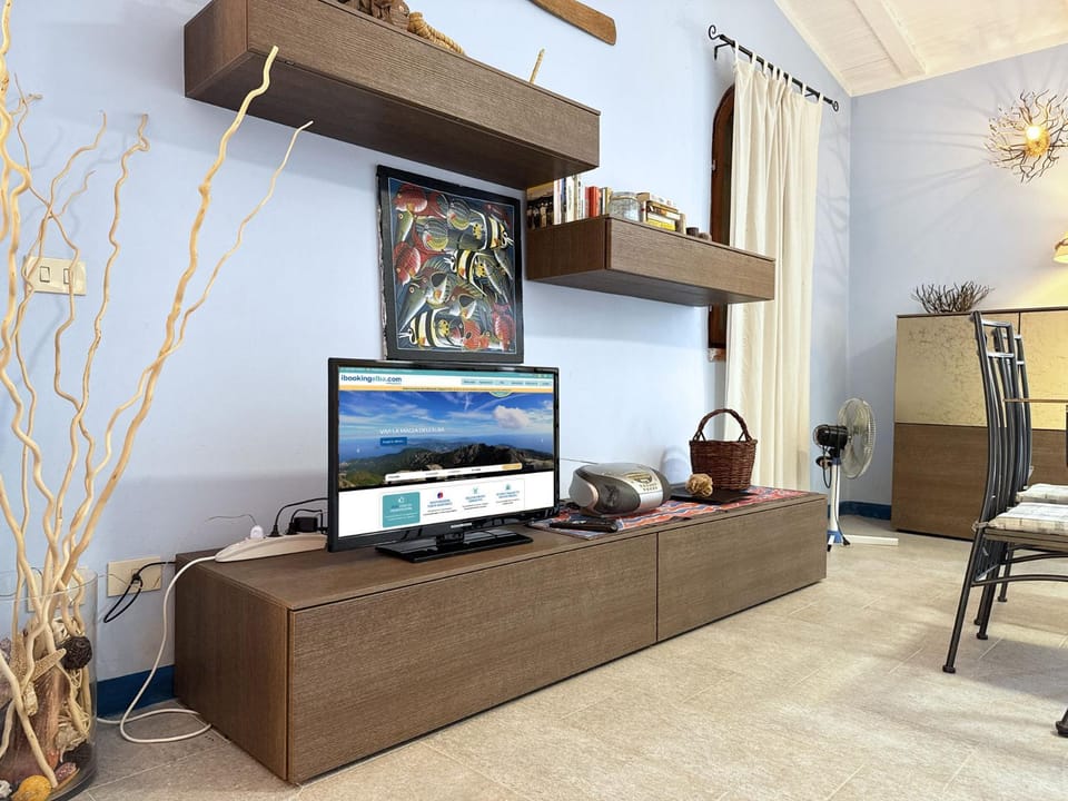TV and multimedia