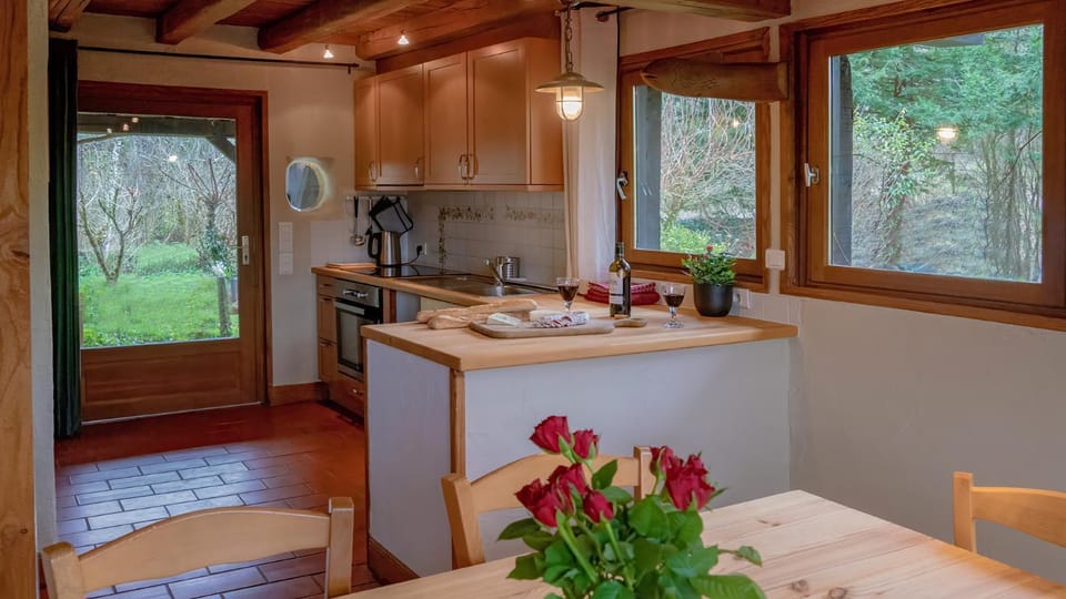 Kitchen or kitchenette, Dining area, pet friendly, stove