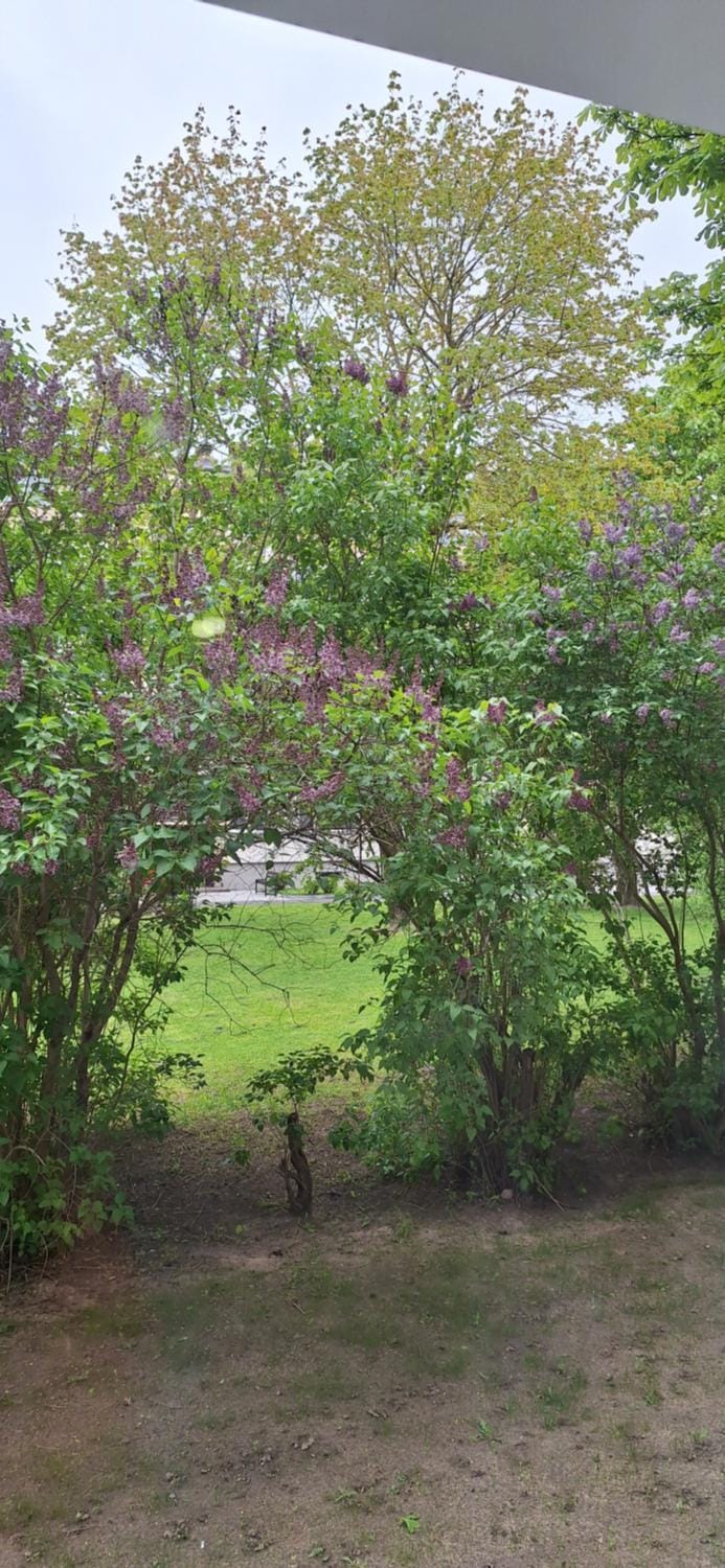 Šiauliai Central Vytauto Apartment Apartment in Lithuania