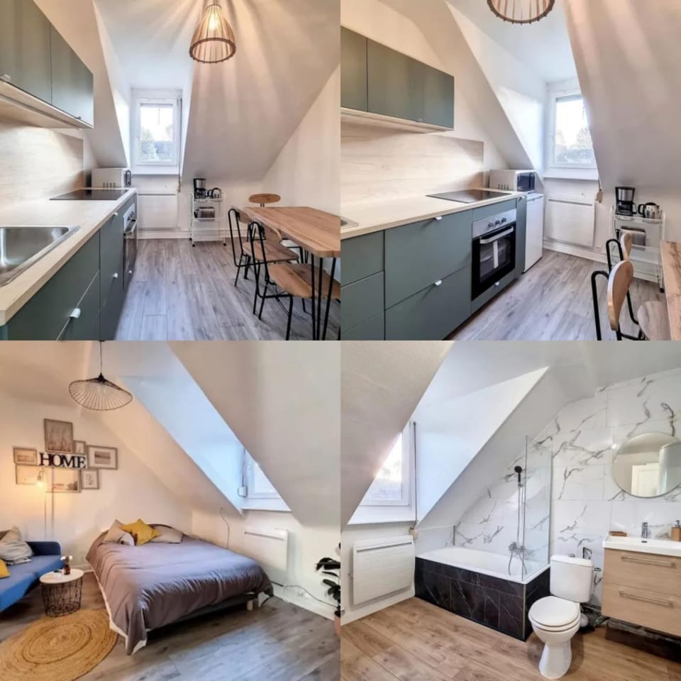 SOH Rent Strasbourg saint Florent proche Gare Apartment in Strasbourg