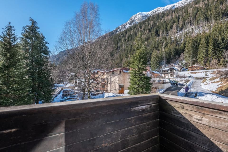 Beautiful Apt near the Grands Montets slopes Apartment in Chamonix