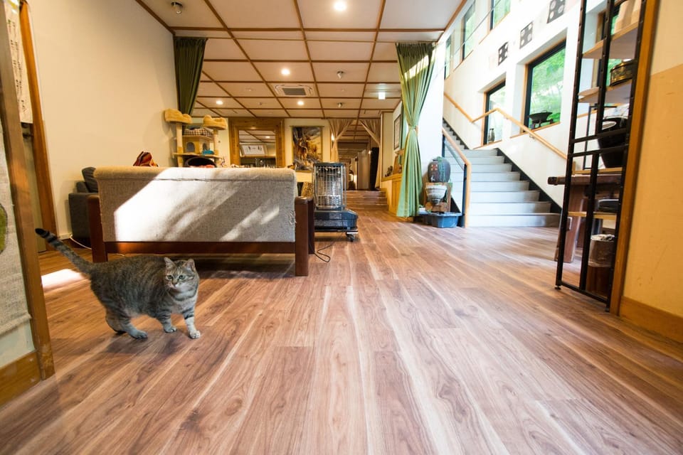 Lobby or reception, Pets