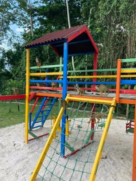 Children play ground