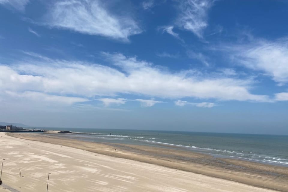 Pretty cosy pearl close to the sea Apartment in Deauville
