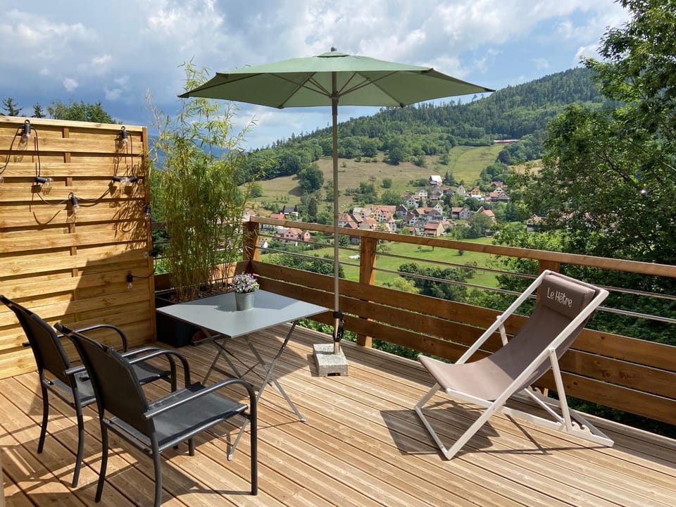 Duplex Le Hêtre avec vue dégagée sur le village et les montagnes Apartment in Vosges