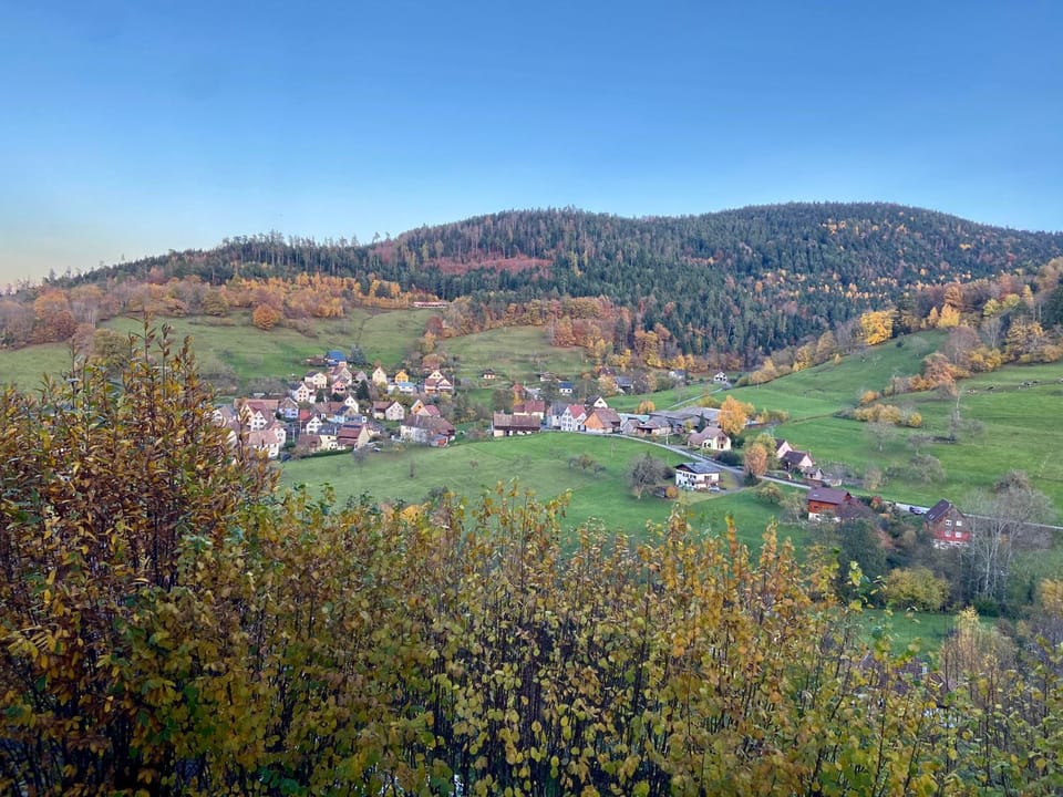 Duplex Le Hêtre avec vue dégagée sur le village et les montagnes Apartment in Vosges