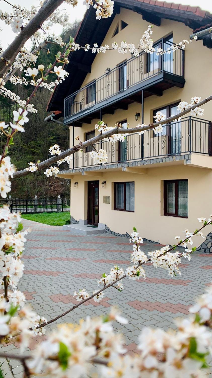 Property building, Garden view