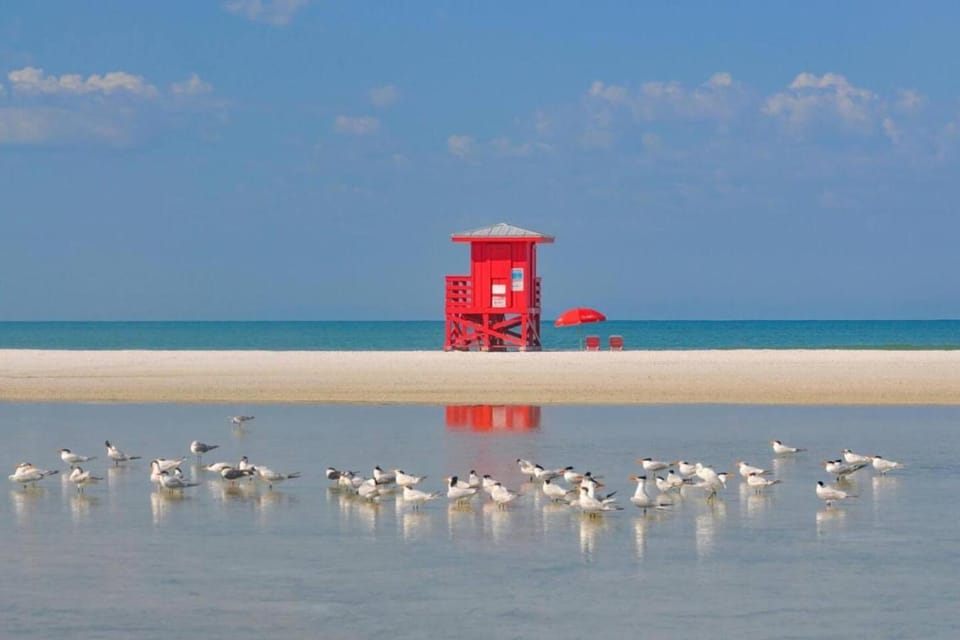 Quiet Cottage Walk to Siesta Key Relax Or WORK Country House in Florida