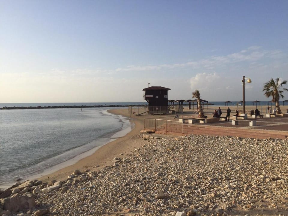 Day, Beach, Autumn