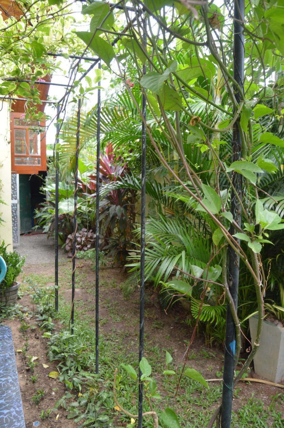 Familyhouse Vacation rental in Negombo