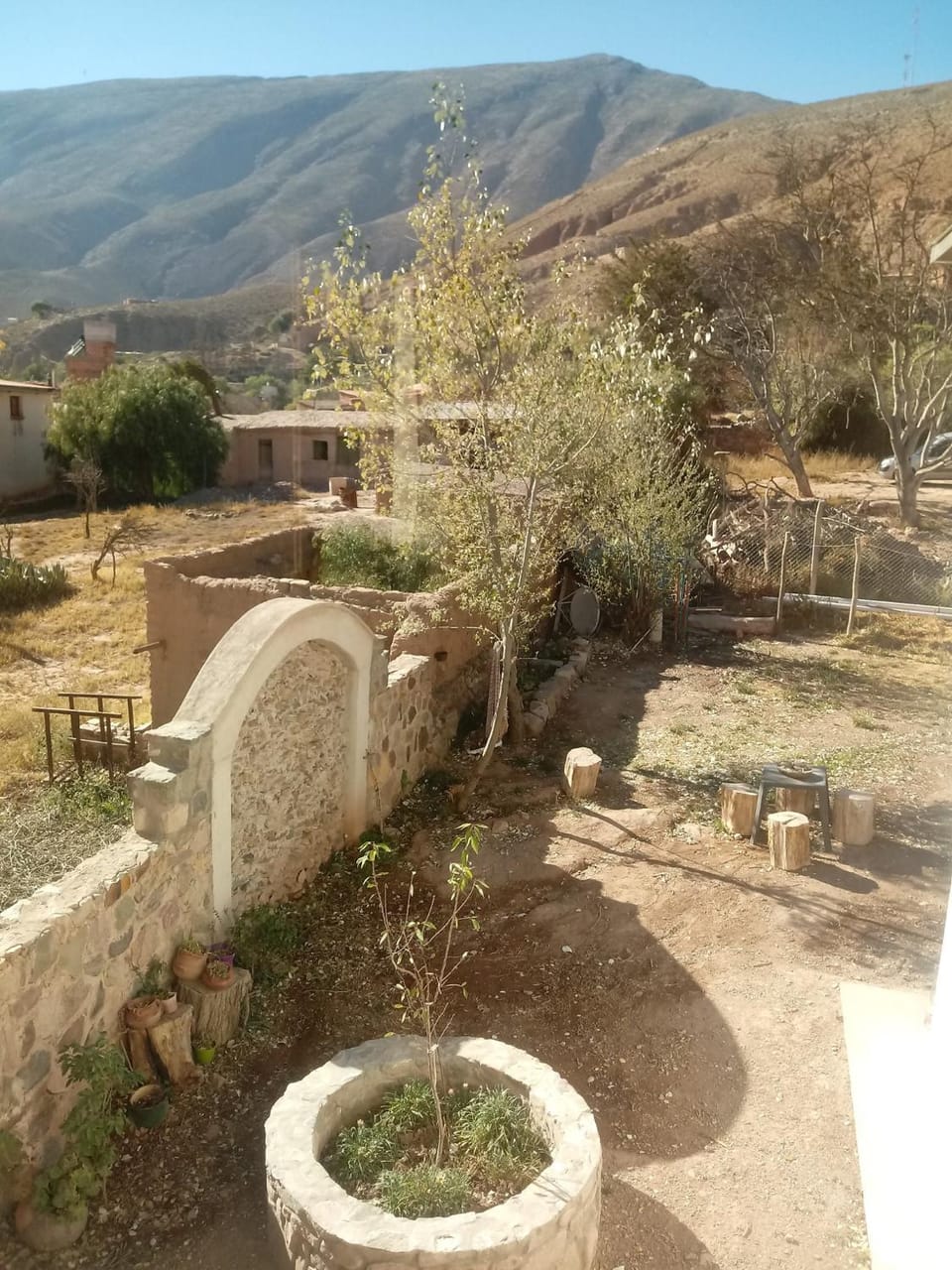 Garden view