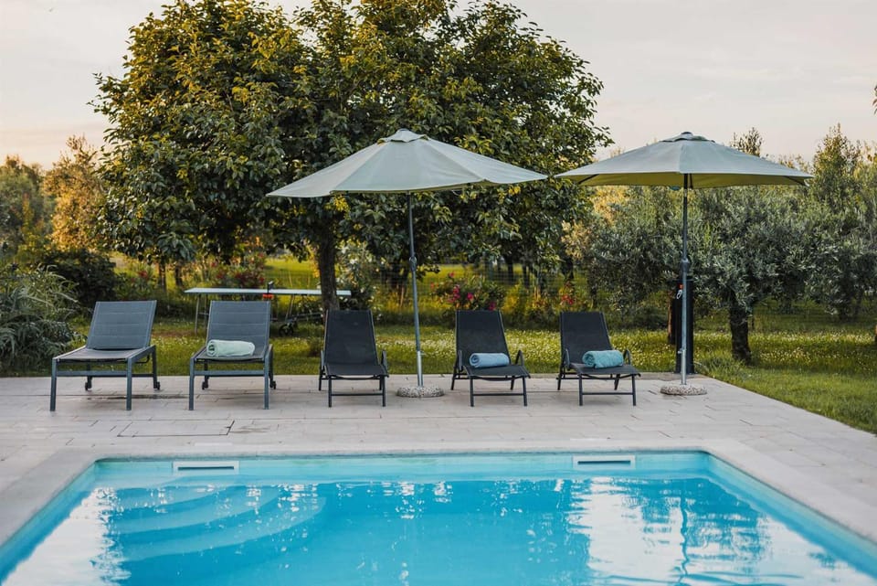 Patio, Day, Natural landscape, Garden, Garden view, Pool view, Swimming pool, sunbed